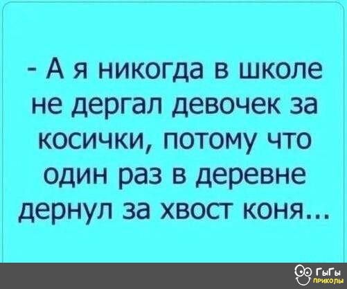 - А я никогда в школе не дергал девочек за косички, потому что один раз в деревне дернул за хвост коня...