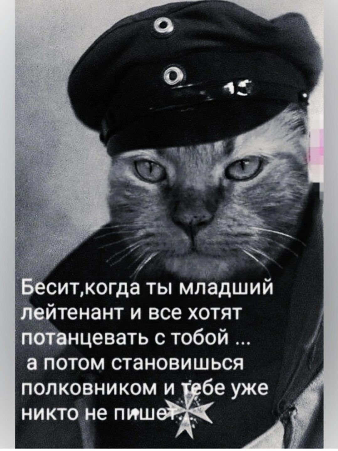 Бесит, когда ты младший лейтенант и все хотят потанцевать с тобой ... а потом становишься полковником и тебе уже никто не пишет.