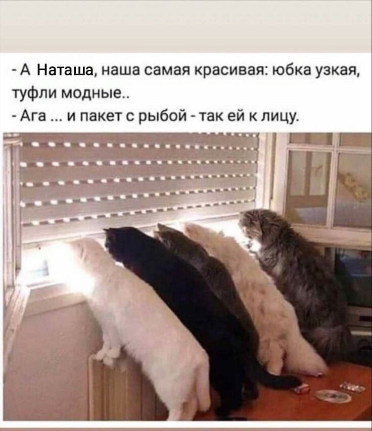 - А Наташа, наша самая красивая: юбка узкая, туфли модные..
- Ага ... и пакет с рыбой - так ей к лицу.