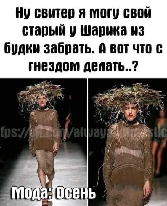 Ну свитер я могу свой старый у Шарика из будки забрать. А вот что с гнездом делать..?
Мода: Осень
