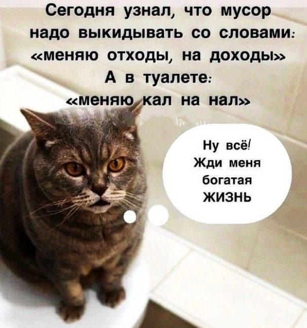 Сегодня узнал, что мусор надо выкидывать со словами: «меняю отходы, на доходы» А в туалете: «меняю кал на наль» Ну всё! Жди меня богатая ЖИЗНЬ