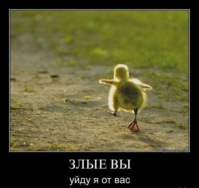 ЗЛЫЕ ВЫ
уйду я от вас