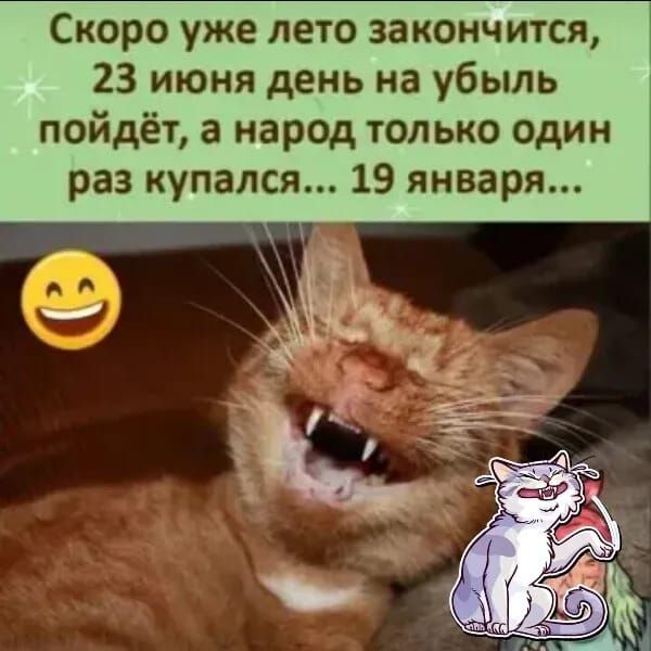 Скоро уже лето закончится, 23 июня день на убыль пойдёт, а народ только один раз купался... 19 января...