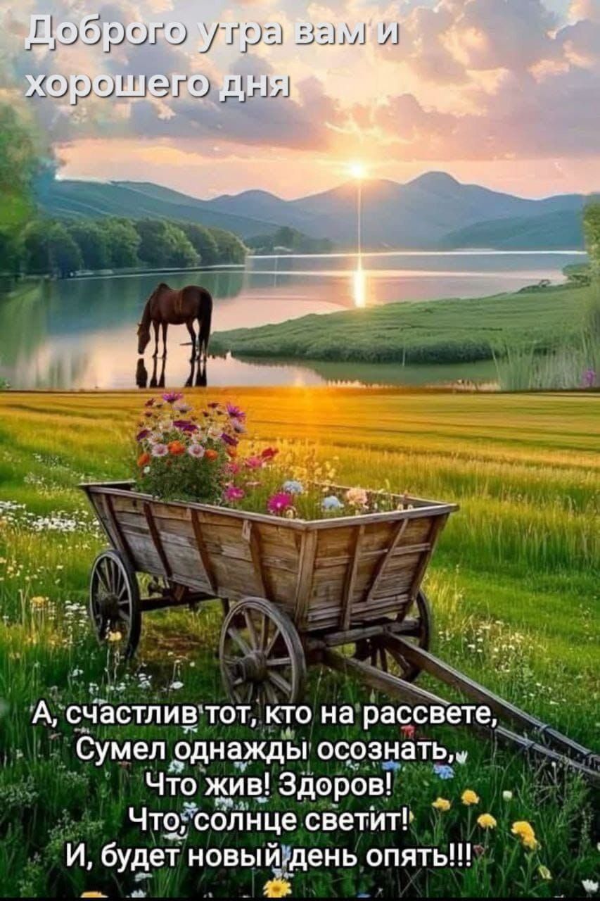 Доброе утро вам и хорошего дня
А, счастлив тот, кто на рассвете,
Сумел однажды осознать,
Что жив! Здоров!
Что солнце светит!
И, будет новый день опять!!!