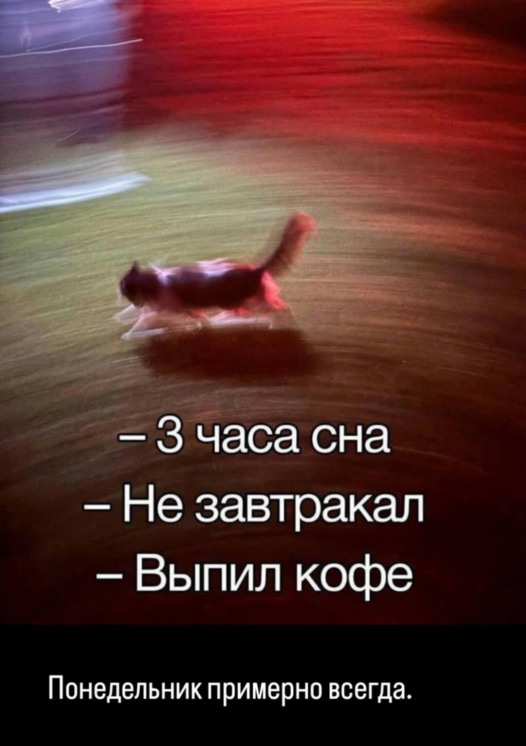 – 3 часа сна
– Не завтракал
– Выпил кофе
Понедельник примерно всегда.