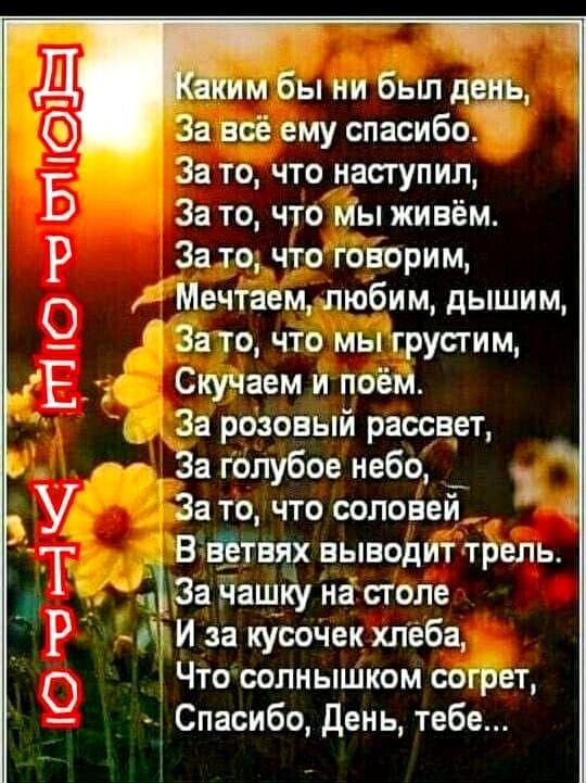 Каким бы ни был день,
За всё ему спасибо.
За то, что наступил,
За то, что мы живём.
За то, что говорим,
Мечтаем, любим, дышим,
За то, что мы грустим,
Скучаем и поём.
За розовый рассвет,
За голубое небо,
За то, что соловей
В ветвях выводит трем.
За чашку на столе
И за кусочек хлеба,
Что солнышком согрет,
Спасибо, День, тебе...
