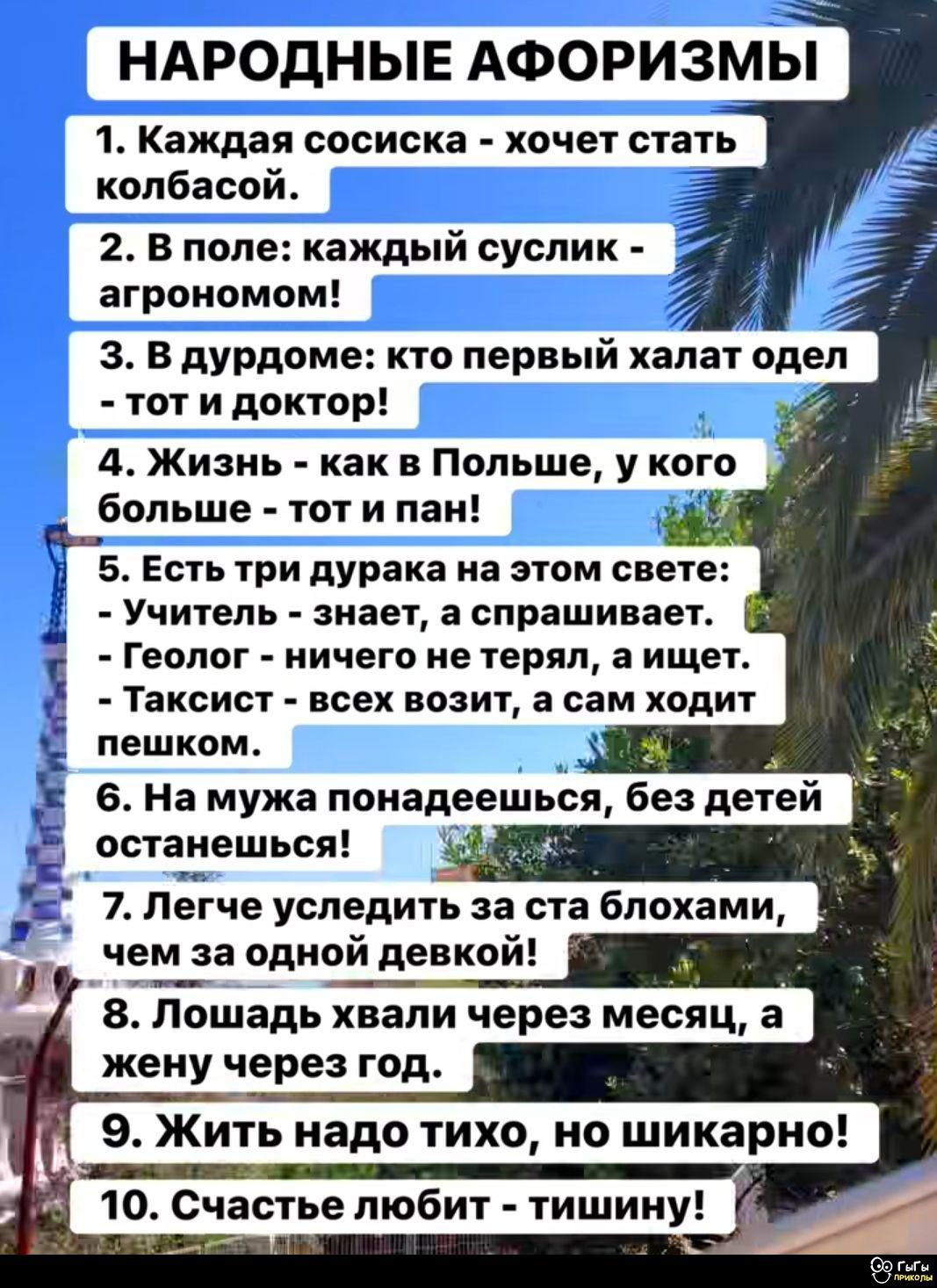 1. Каждая сосиска - хочет стать колбасой.
2. В поле: каждый суслик - агрономом!
3. В дурдоме: кто первый халат одел - тот и доктор!
4. Жизнь - как в Польше, у кого больше - тот и пан!
5. Есть три дурака на этом свете:
   - Учитель - знает, а спрашивает.
   - Геолог - ничего не терял, а щет.
   - Таксист - всех возит, а сам ходит пешком.
6. На мужа ponadeesh'sya, без детей останешься!
7. Легче усидеть за стола блохами, чем за одной девкой!
8. Лошадь хвали через месяц, а жену через год.
9. Жить надо тихо, но шикарно!
10. Счастье любит - тишину!