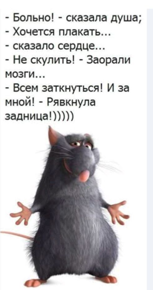 - Больно! - сказала душа;
- Хочется плакать...
- сказала сердце...
- Не скулить! - Заорали мозги...
- Всем заткнуться! И за мной! - Рявкнула задница!))))))