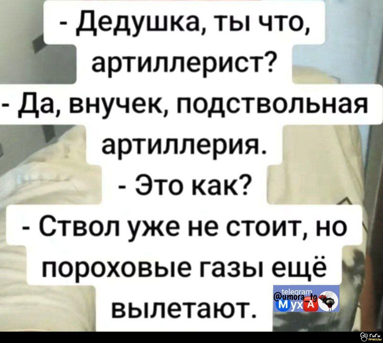 - Дедушка, ты что, артиллерист?
- Да, внучек, подствольная артиллерия.
- Это как?
- Ствол уже не стоит, но пороховые газы ещё вылетают.
