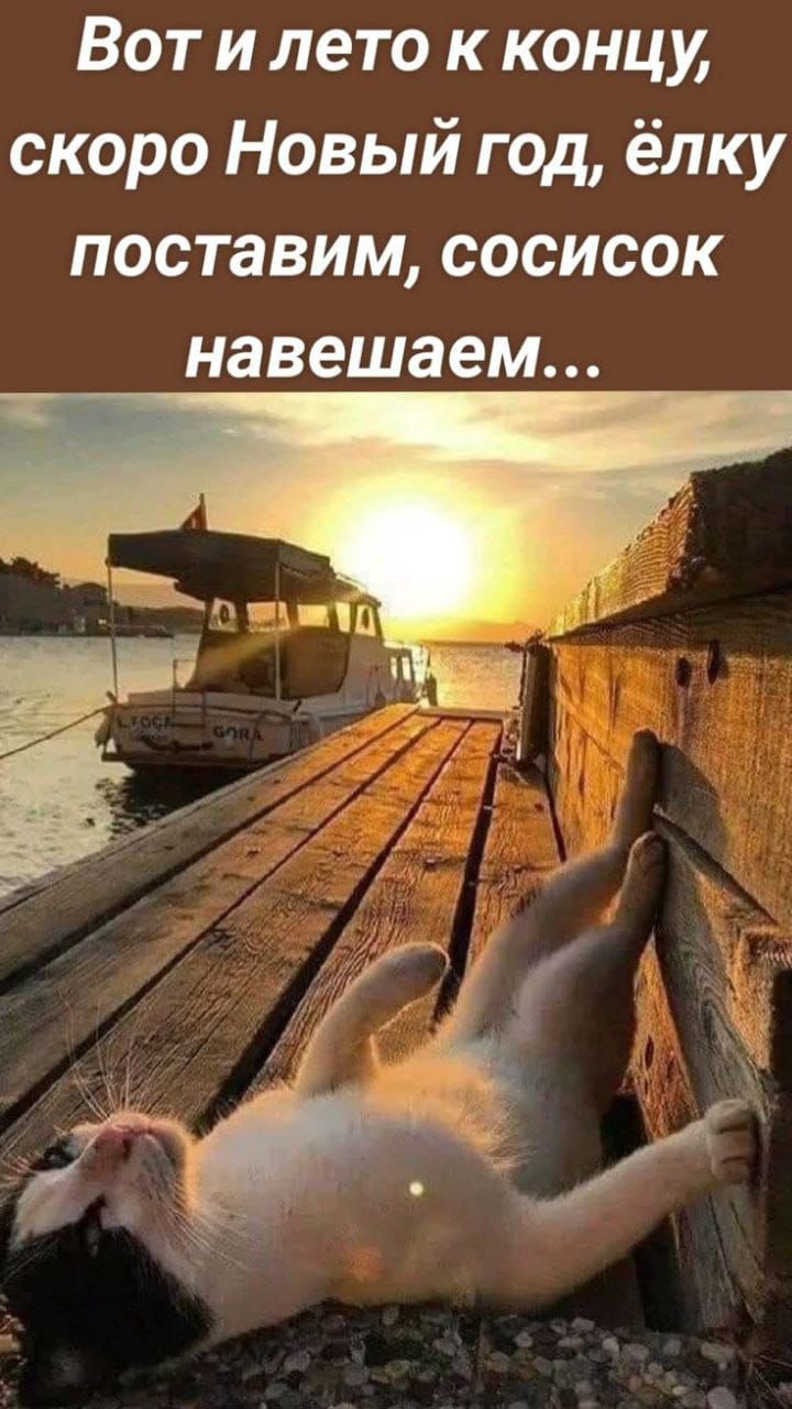 Вот и лето к концу, скоро Новый год, ёлку поставим, сосисок навешаем...
