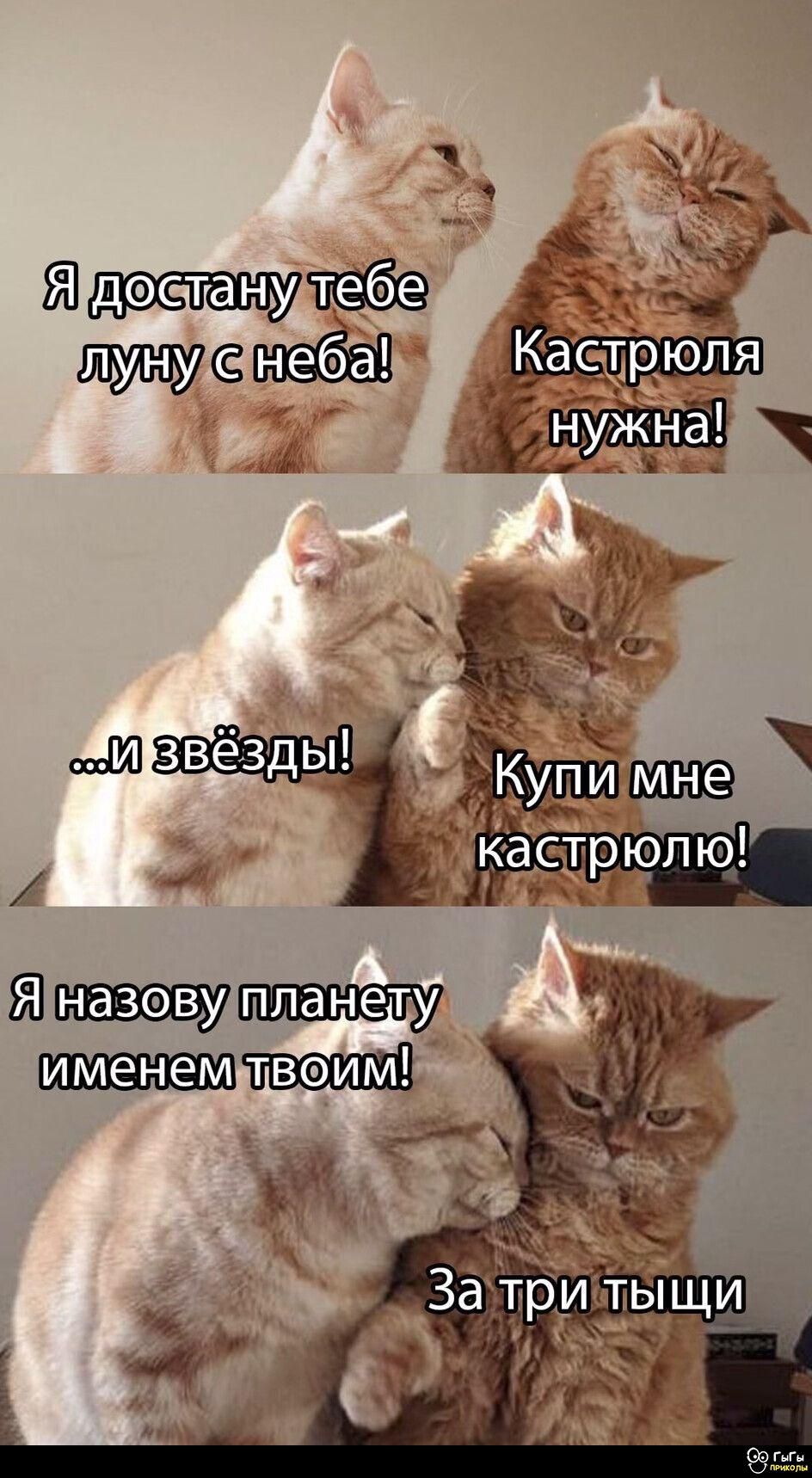 Я достану тебе луну с неба! Кастрюля нужна! ...и звёзды! Купи мне кастрюлю! Я назову планету именем твоим! За три тысячи.