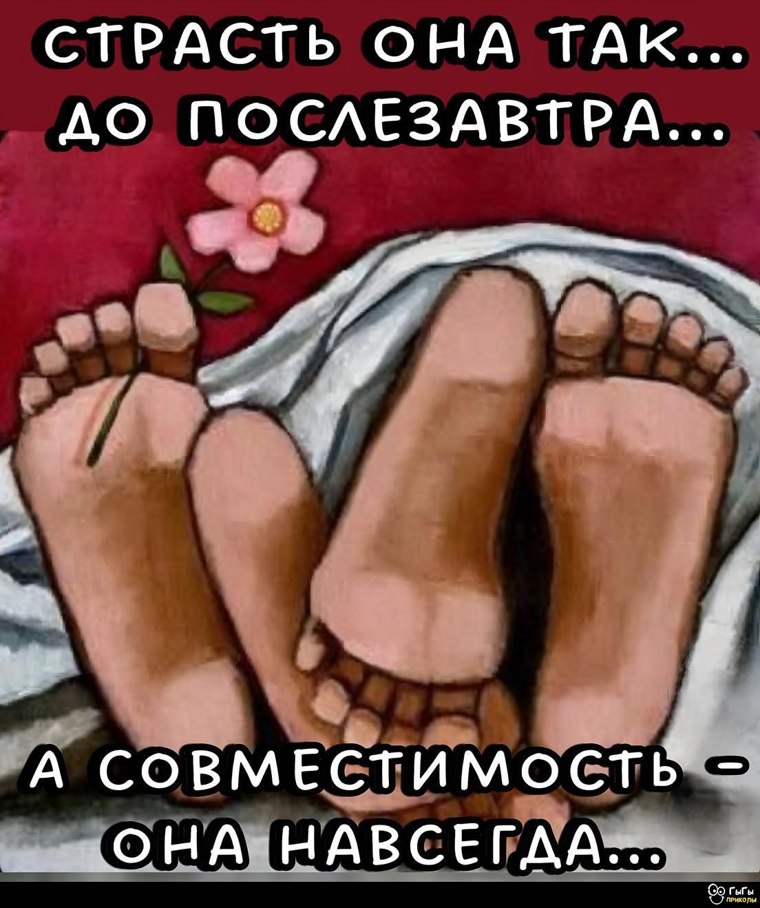 СТРАСТЬ ОНА ТАК... ДО ПОСЛЕЗАВТР… А СОВМЕСТИМОСТЬ – ОНА НАВСЕГДА…