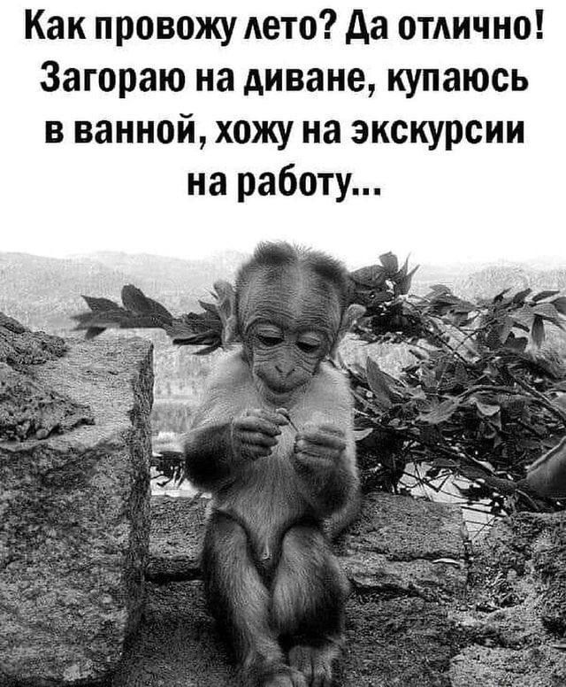 Как провожу лето? Да отлично! Загоряю на диване, купаюсь в ванной, хожу на экскурсии на работу...