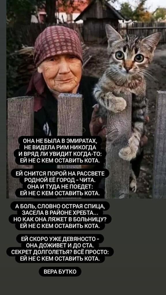 ОНА НЕ БЫЛА В ЭМИРАТАХ, НЕ ВИДЕЛА РИМ НИКОГДА И ВРЯД ЛИ УВИДИТ КОГДА-ТО: ЕЙ НЕ С КЕМ ОСТАВИТЬ КОТА.

ЕЙ СНИТЬСЯ ПОРой НА РАССВЕТЕ РОДНЫЙ ЕЁ ГОРОД - ЧИТА. ОНА И ТУДА НЕ ПОЕДЕТ: ЕЙ НЕ С КЕМ ОСТАВИТЬ КОТА.

А БОЛЬ, СЛОВНО ОСТРАЯ СПИЦА, ЗАСТЕЛА В РАЙОНЕ ХРЕБТА... НО КАК ОНА ЛЯЖЕТ В БОЛЬНИЦУ? ЕЙ НЕ С КЕМ ОСТАВИТЬ КОТА.

ЕЙ СКОРО УЖЕ ДЕВЯНОСТО - ОНА ДОЖИВЁТ И ДО СТА. СЕКРЕТ ДОЛГОЛЕТЬЯ? ВСЁ ПРОСТО: ЕЙ НЕ С КЕМ ОСТАВИТЬ КОТА.

ВЕРА БУТКО