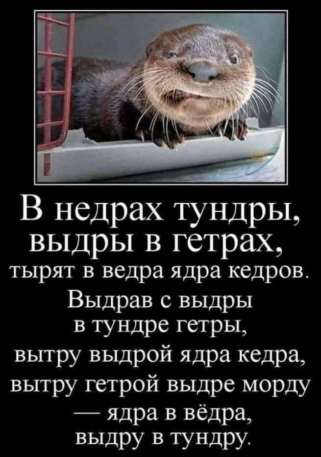 В недрах тундры, выдры в гетрах,
тырят в ведра ядра кедров.
Выдрав с выдры
в тундре гетры,
вытру выдрой ядра кедра,
вытру гетрой выдры морду —
ядра в ведрах,
выдру в тундру.
