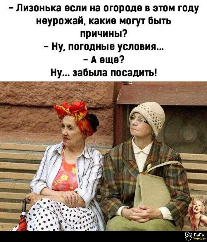 – Лизонька если на огороде в этом году неурожай, какие могут быть причины?
– Ну, погодные условия…
– А еще?
Ну… забыла посадить!