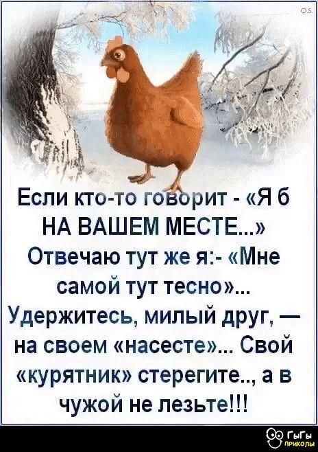 Если кто-то говорит - «Я б НА ВАШЕМ МЕСТЕ...»
Отвечаю тут же я: - «Мне самой тут тесно»...
Удержитесь, милый друг — на своем «насесте»... Свой «курятник» стерегите..., а в чужой не лезьте!!!