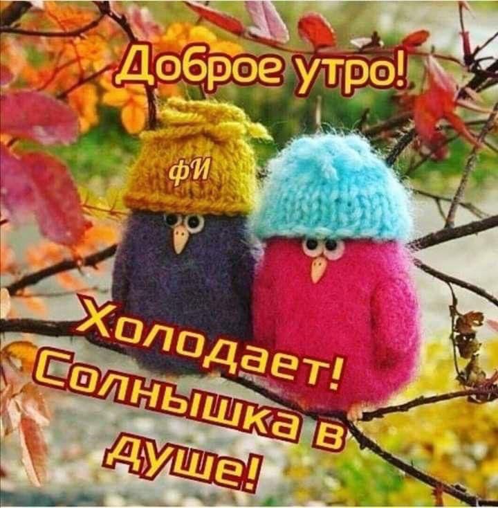 Доброе утро! Холодает! Солнешка в душе!
