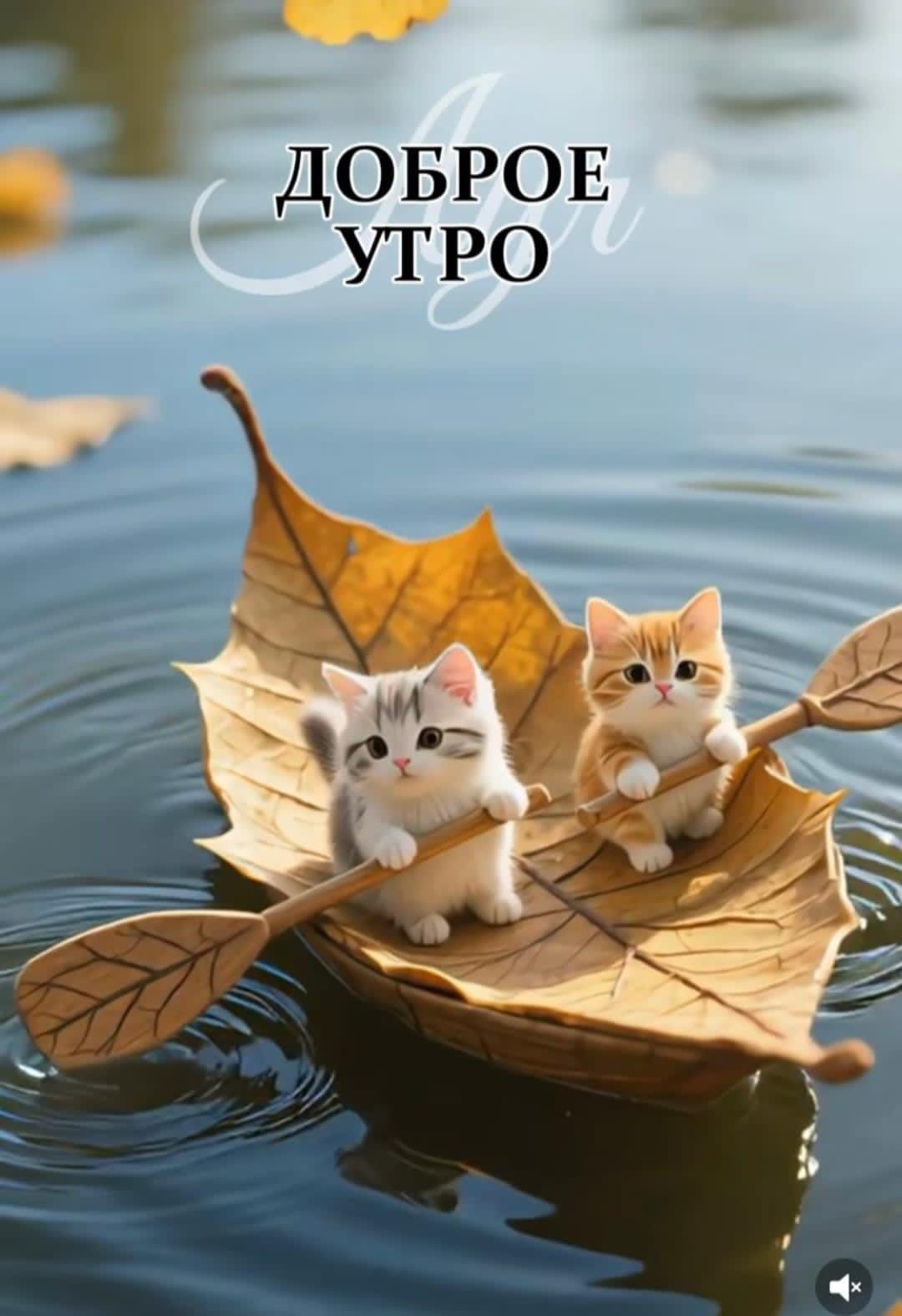 ДОБРОЕ УТРО