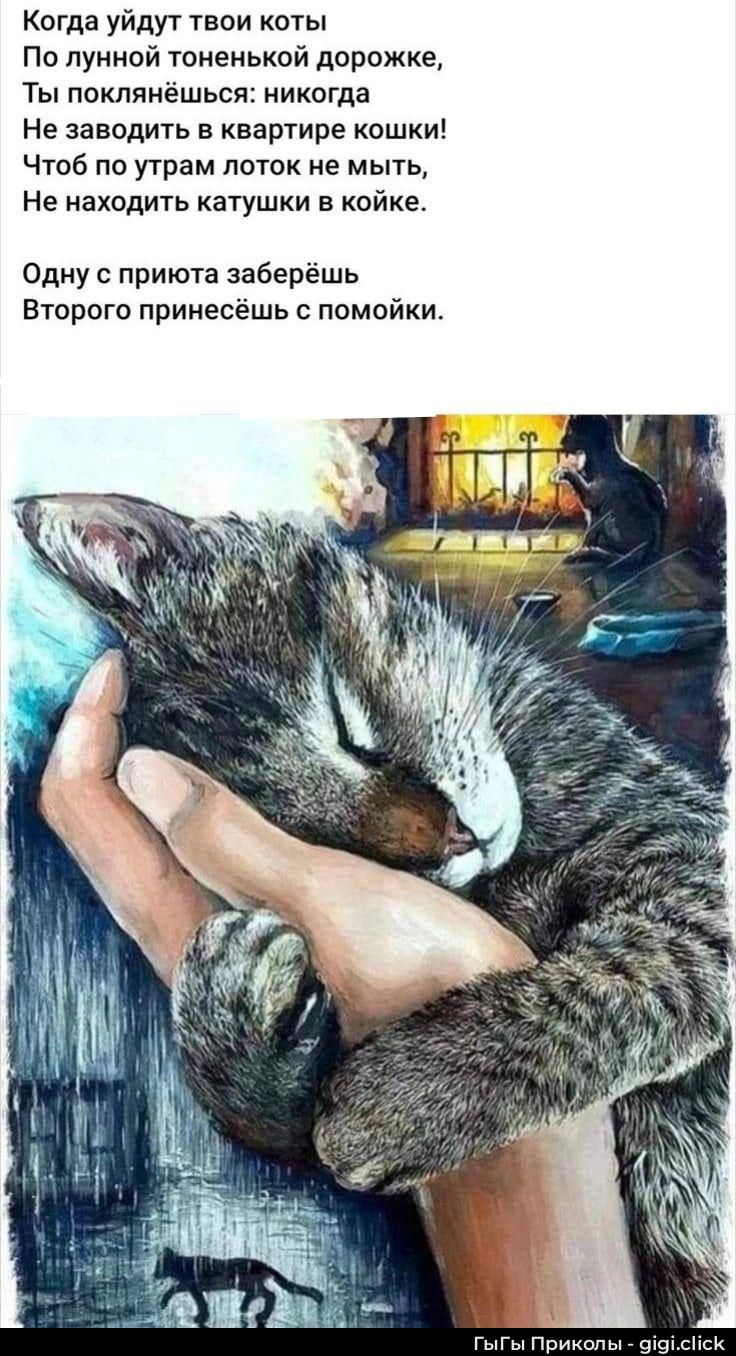Когда уйдут твои коты
По лунной тоненькой дорожке,
Ты поклоняешься: никогда
Не заводить в квартире кошки!
Чтоб по утрам лоток не мыть,
Не находить катушки в койке.

Одну с приюта заберёшь
Второго принесёшь с помойки.