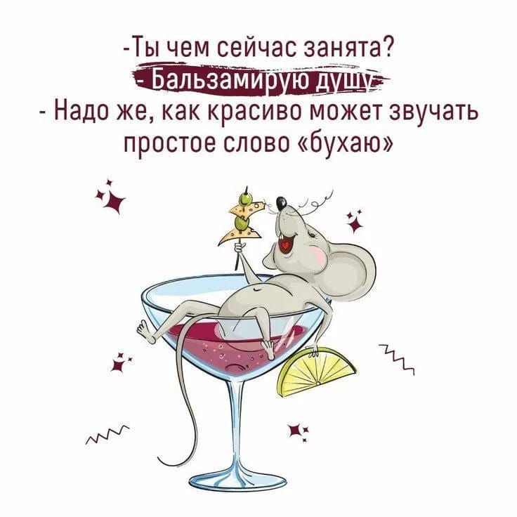 -Ты чем сейчас занята? - Бальзамирую душу? - Надо же, как красиво может звучать простое слово «бухаю»