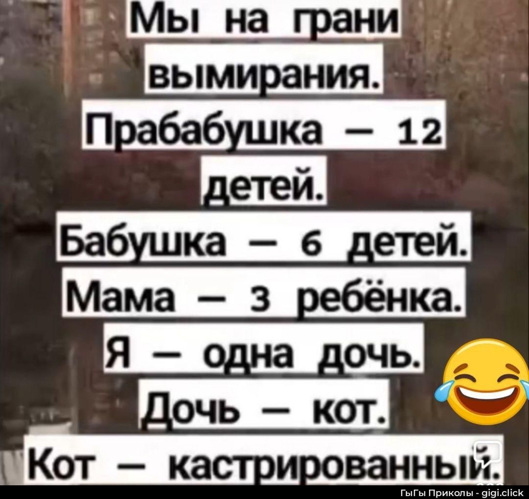 Мы на грани вымирания. Прабабушка — 12 детей. Бабушка — 6 детей. Мама — 3 ребёнка. Я — одна дочь. Дочь — кот. Кот — кастрированный.