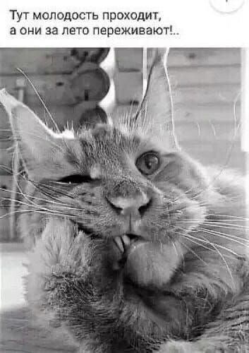 Тут молодость проходит, а они за лето переживают!..