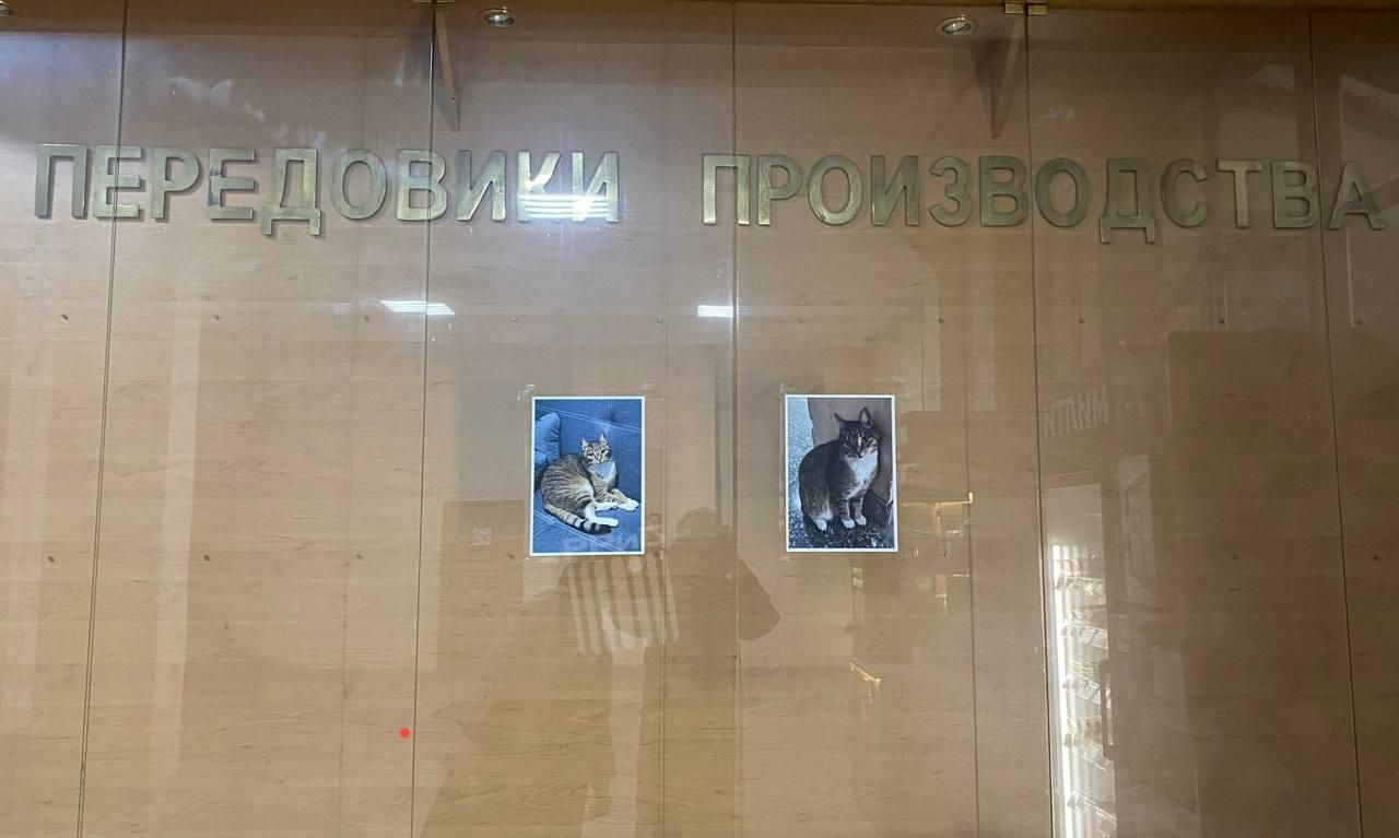 ПЕРЕДОВИКИ ПРОИЗВОДСТВА