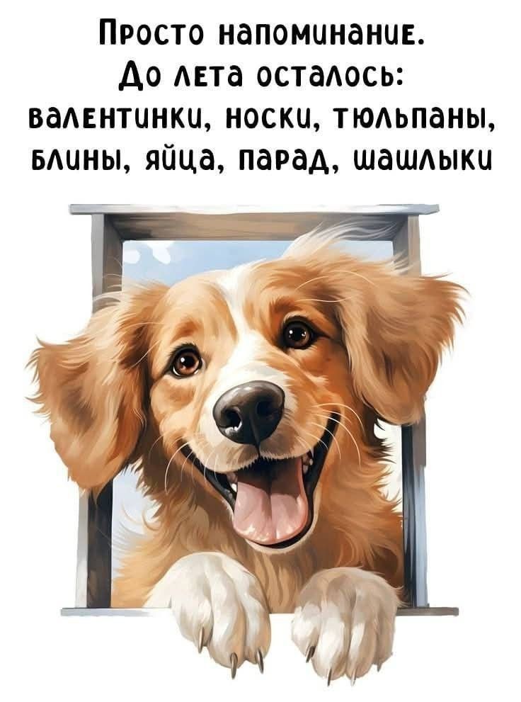 Просто напоминание. До лета осталось: валентинки, носки, тюльпаны, блины, яйца, парад, шашлыки