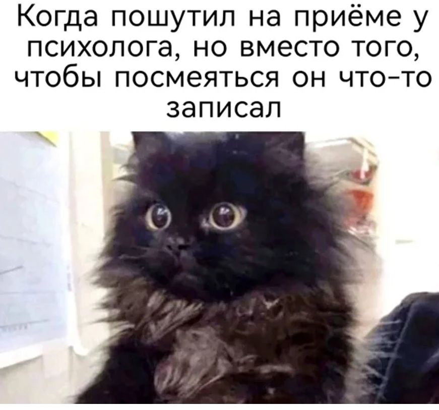 Когда пошутил на приёме у психолога, но вместо того, чтобы посмеяться он что-то записал