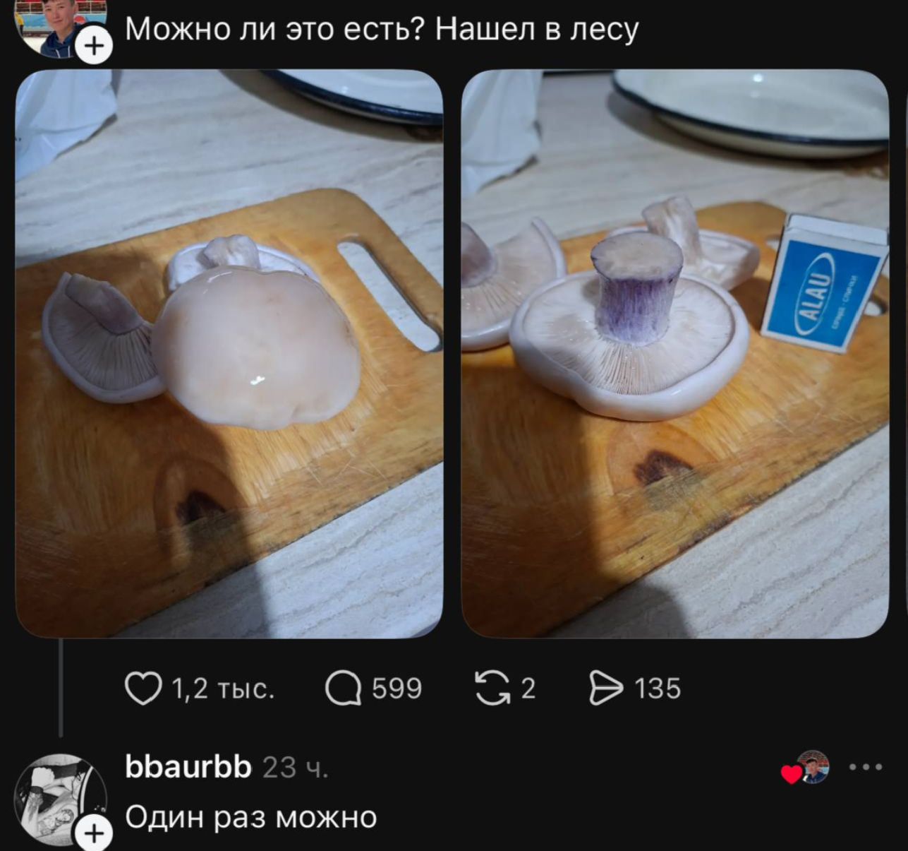 Можно ли это есть? Нашел в лесу