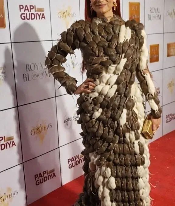 Женщина в платье, сделанном из множества мертвых крыс или мышей, позирует на красной дорожке. На фоне видны надписи PAPI GUDIYA, ROYAL BLOOM, GULIHAS, LOTUS.