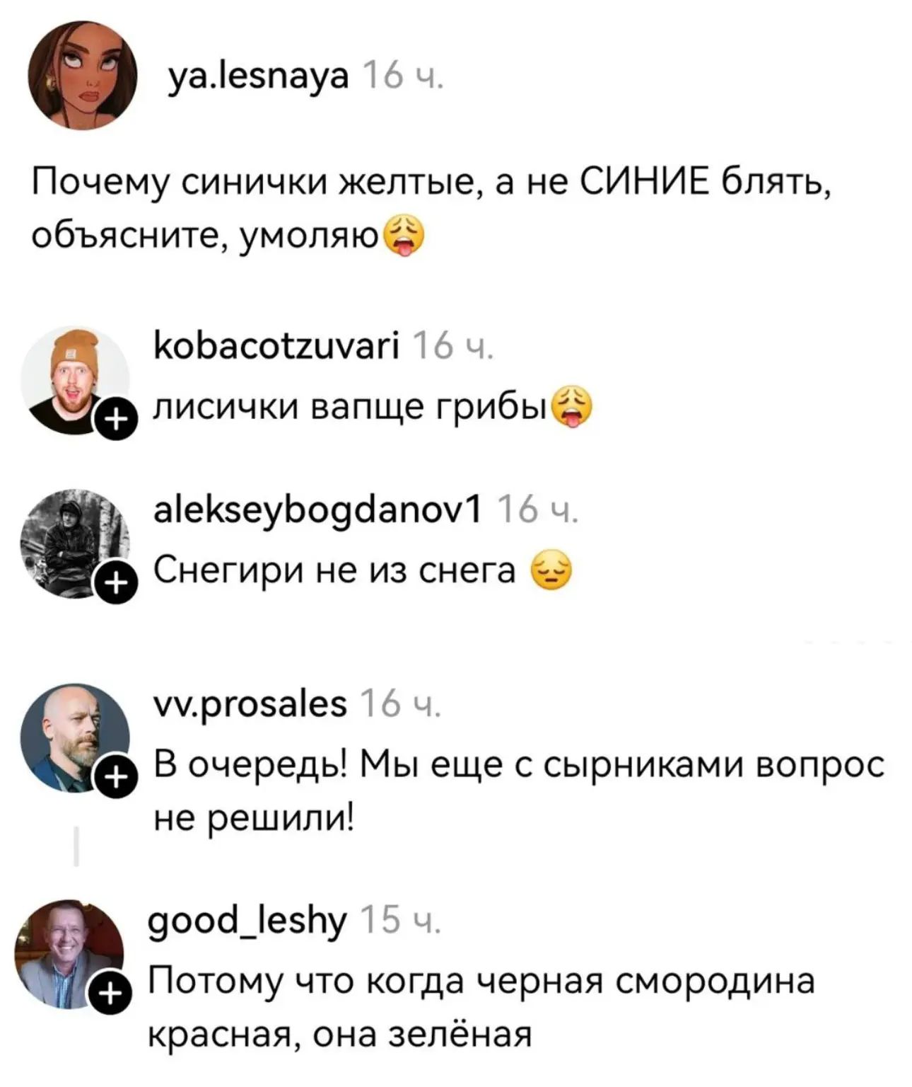 Почему синички желтые, а не СИНИЕ блять, объясните, умоляю. лисички вапще грибы. Снегири не из снега. В очередь! Мы еще с сырниками вопрос не решили! Потому что когда черная смородина красная, она зелёная