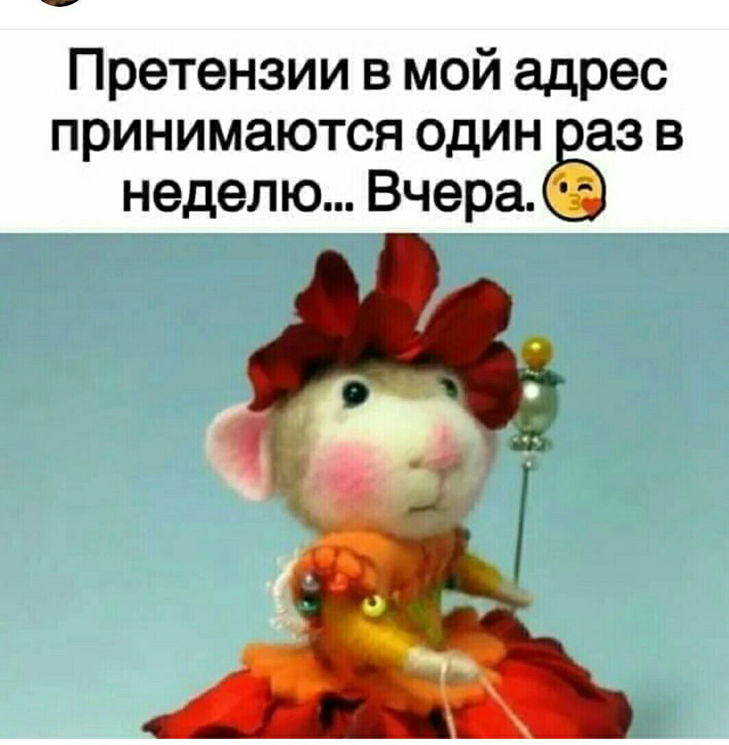 Претензии в мой адРес принимаются один аз в неделю Вчера