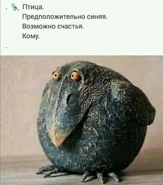 _ Птица Предположительно синяя ВОЗМОЖНО СЧБСТЬЯ Кому