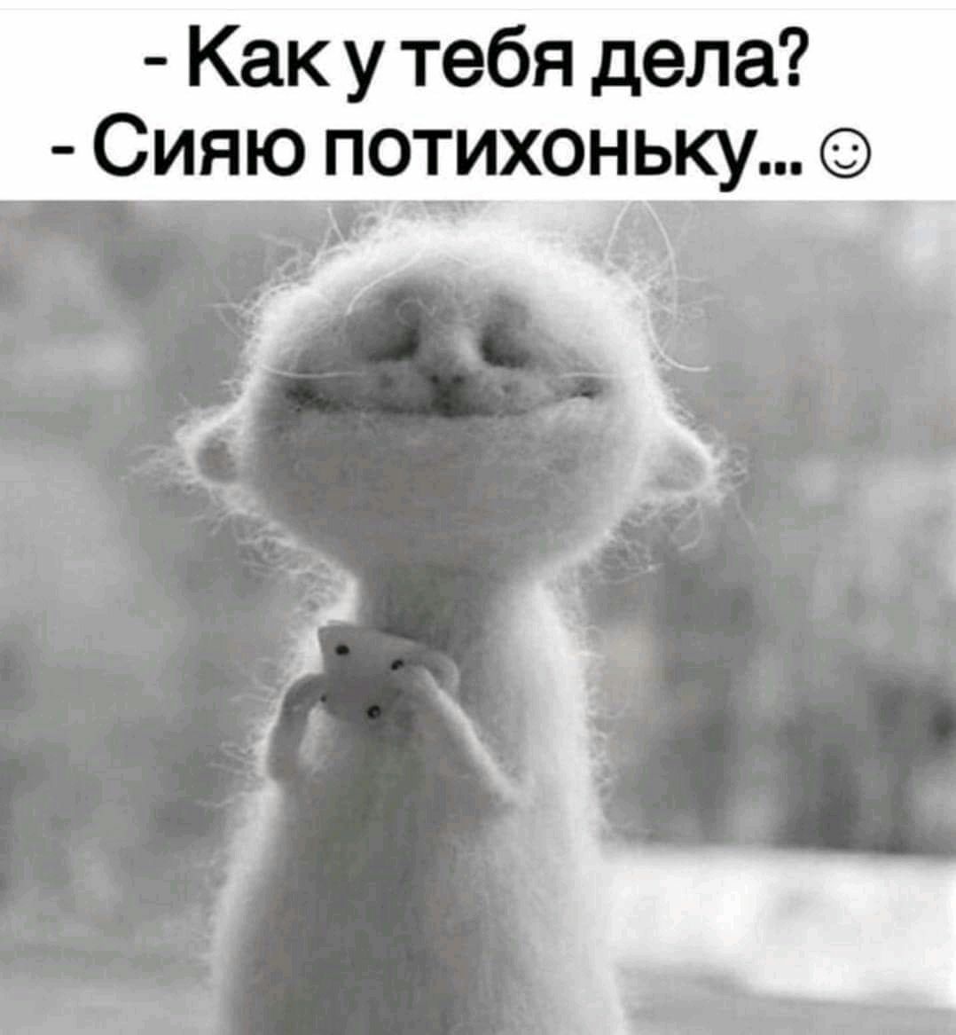 Как у тебя дела Сияю потихоньку