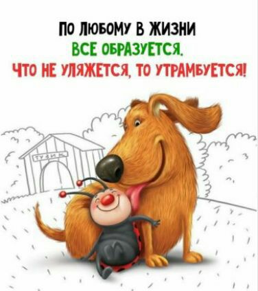по ЛЮБОМУ В ЖИЗНИ Щ 7110