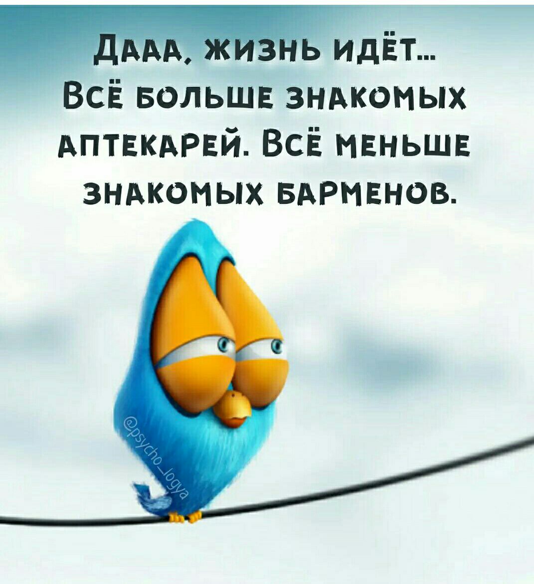 ВСЁ вольшв зндкомых АптЕКАРЕй ВсЁ мвньшв ЗНАКОМЫХ БАРИЕНОВ