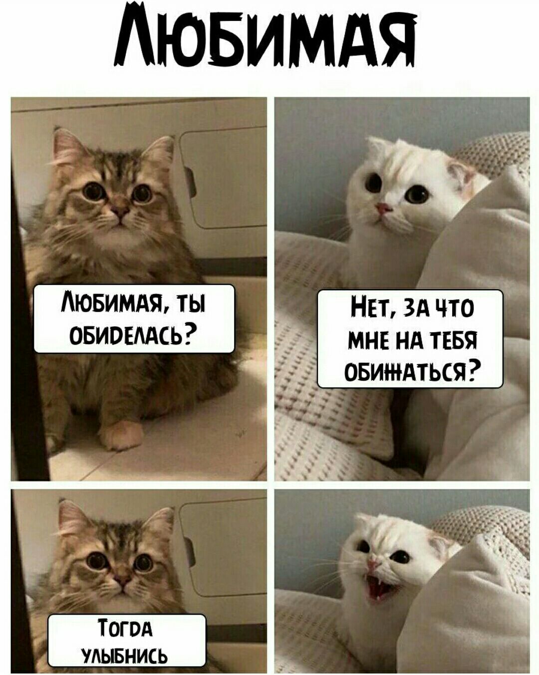 НЕТ ЗА ЧТО МНЕ Нд ТЕБЯ овитдться УАЫБНИСЬ