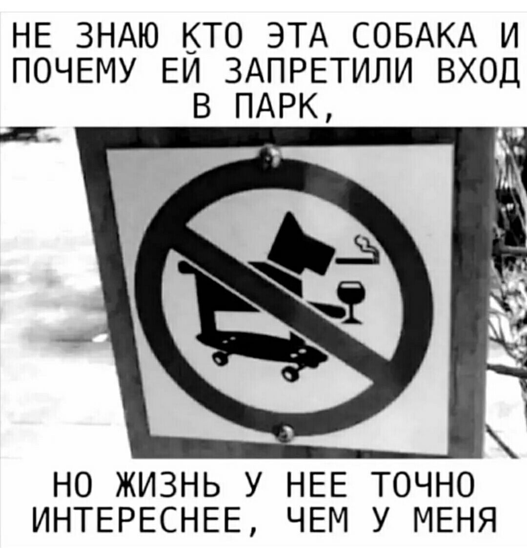 НЕ ЗНАЮ КТО ЭТА СОБАКА И ПОЧЕМУ ЕИ ЗАПРЕТИЛИ ВХОД В ПАРК НО ЖИЗНЬ У НЕЕ ТОЧНО ИНТЕРЕСНЕЕ ЧЕМ У МЕНЯ