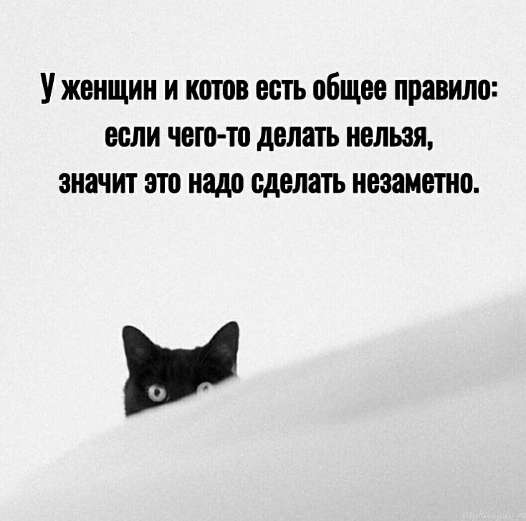 Уженщин и котов есть общее правило если чето то делать нельзя значит это надо сделать незаметно у