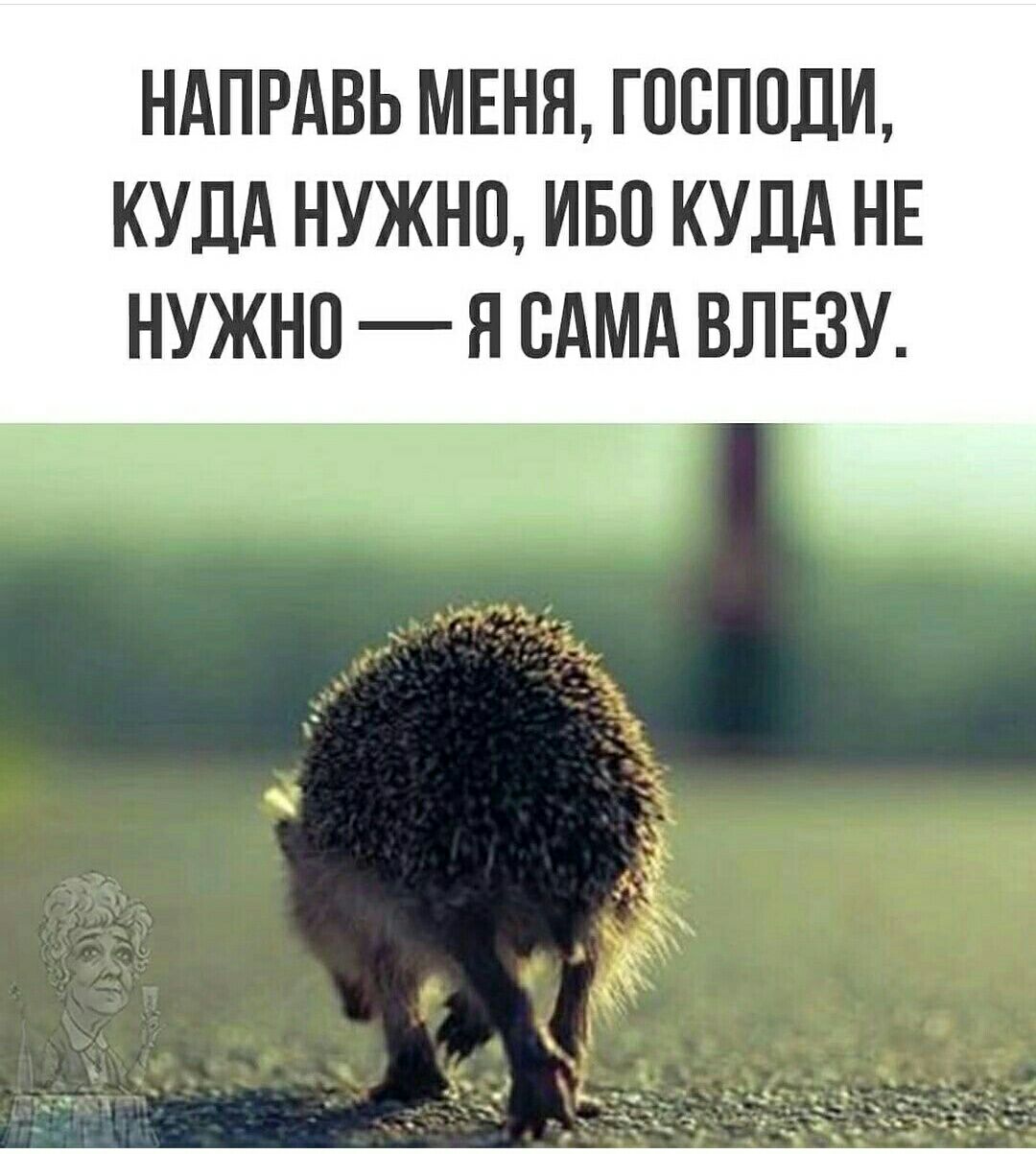 НАПРАВЬ МЕНЯ ГОСПОЛН КУДА НУЖНО ИБО КУДА НЕ НУЖНО Я САМА ВЛЕЗУ