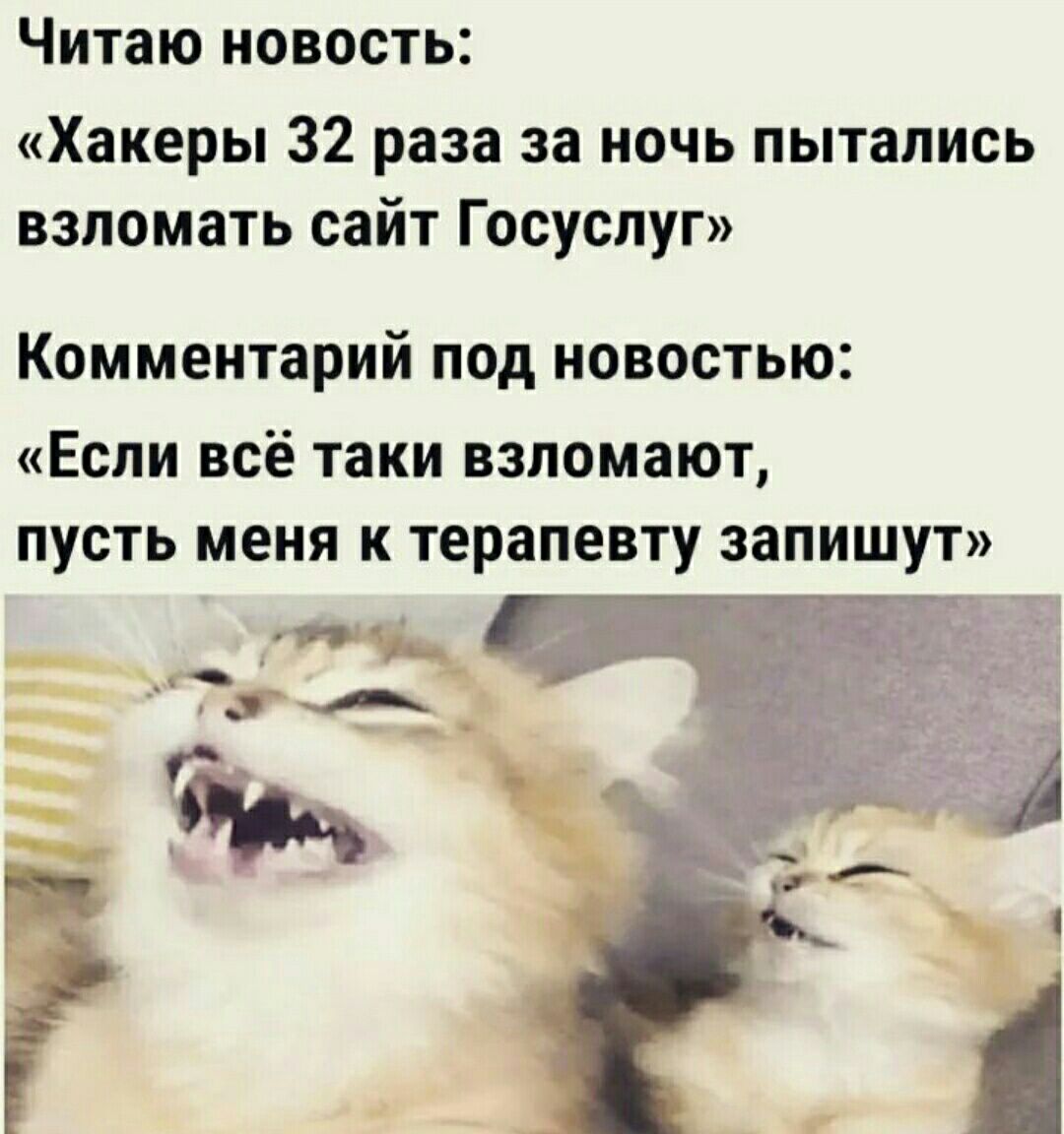 Читаю новость Хакеры 32 раза за ночь пытались взломать сайт Госуслуг Комментарий под новостью Если всё таки взломают пусть меня к терапевту запишут