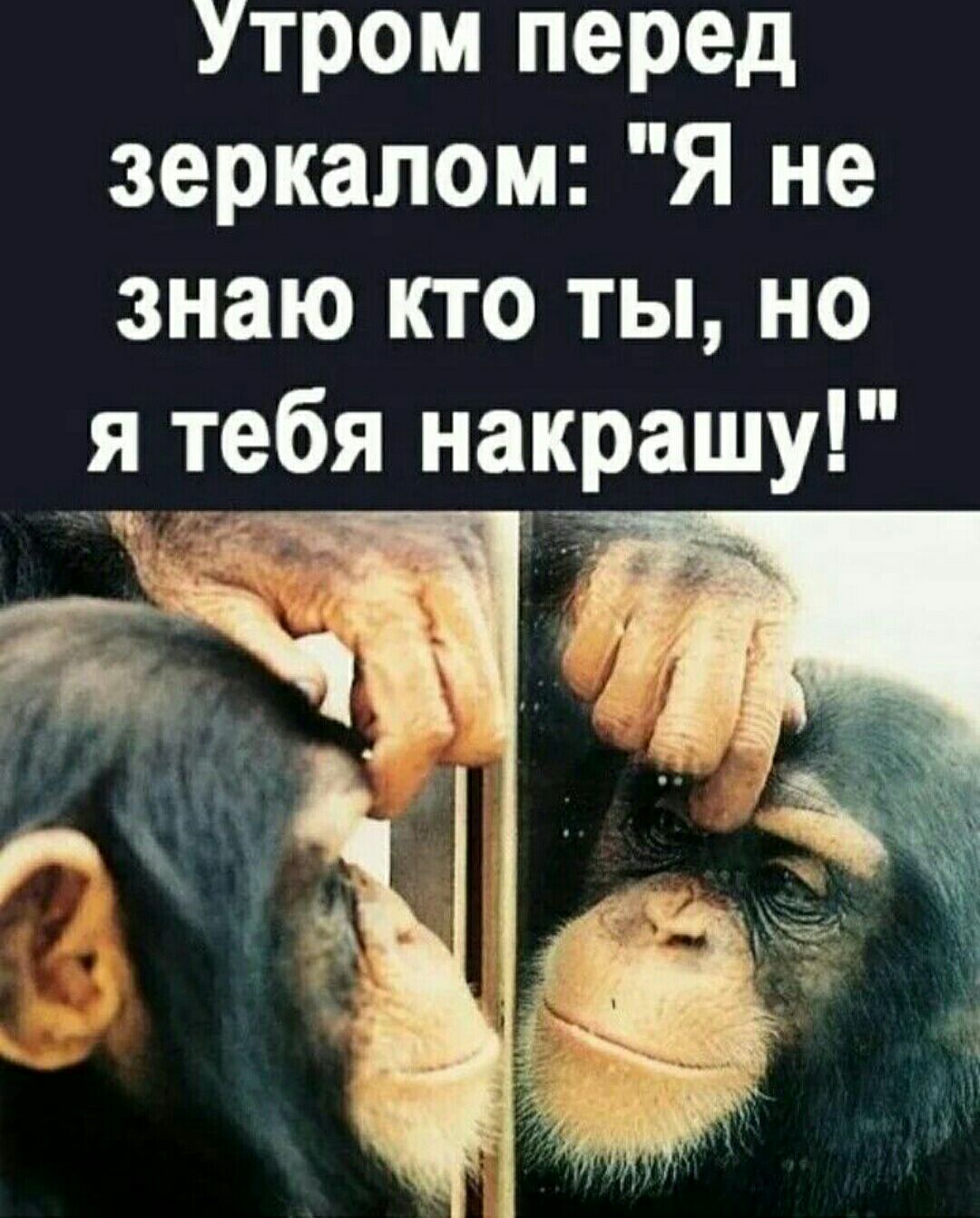 я не знаю кто ты но я тебя накрашу