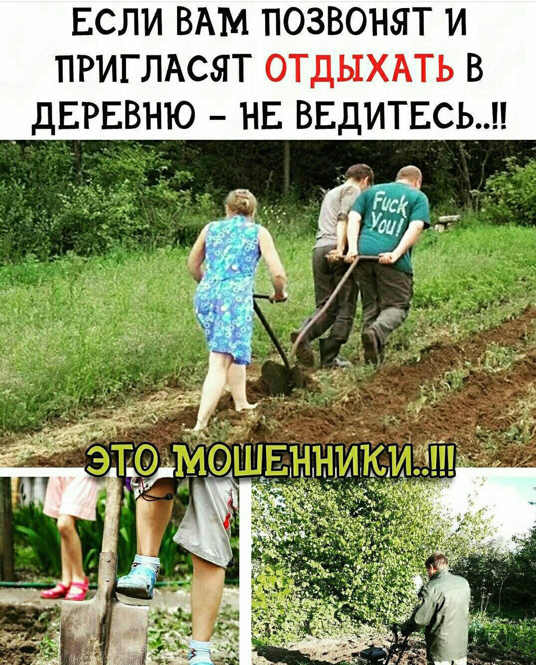 ЕСЛИ ВАМ ПОЗВОНБЕТ И ПРИГ ЛАСЯ Т ОТДЫХАТЬ В ДЕРЕВНЮ НЕ ВЕДИТЕСЬ