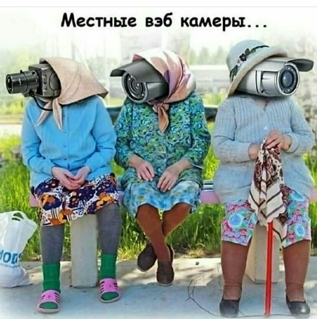 Местные вэб камеры