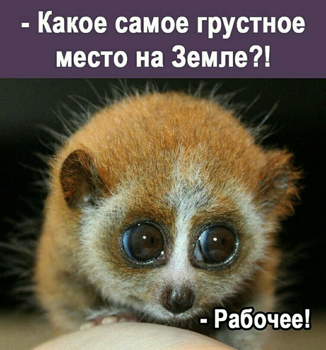 Какое самое грустное место на Земле 1 Рабочее А