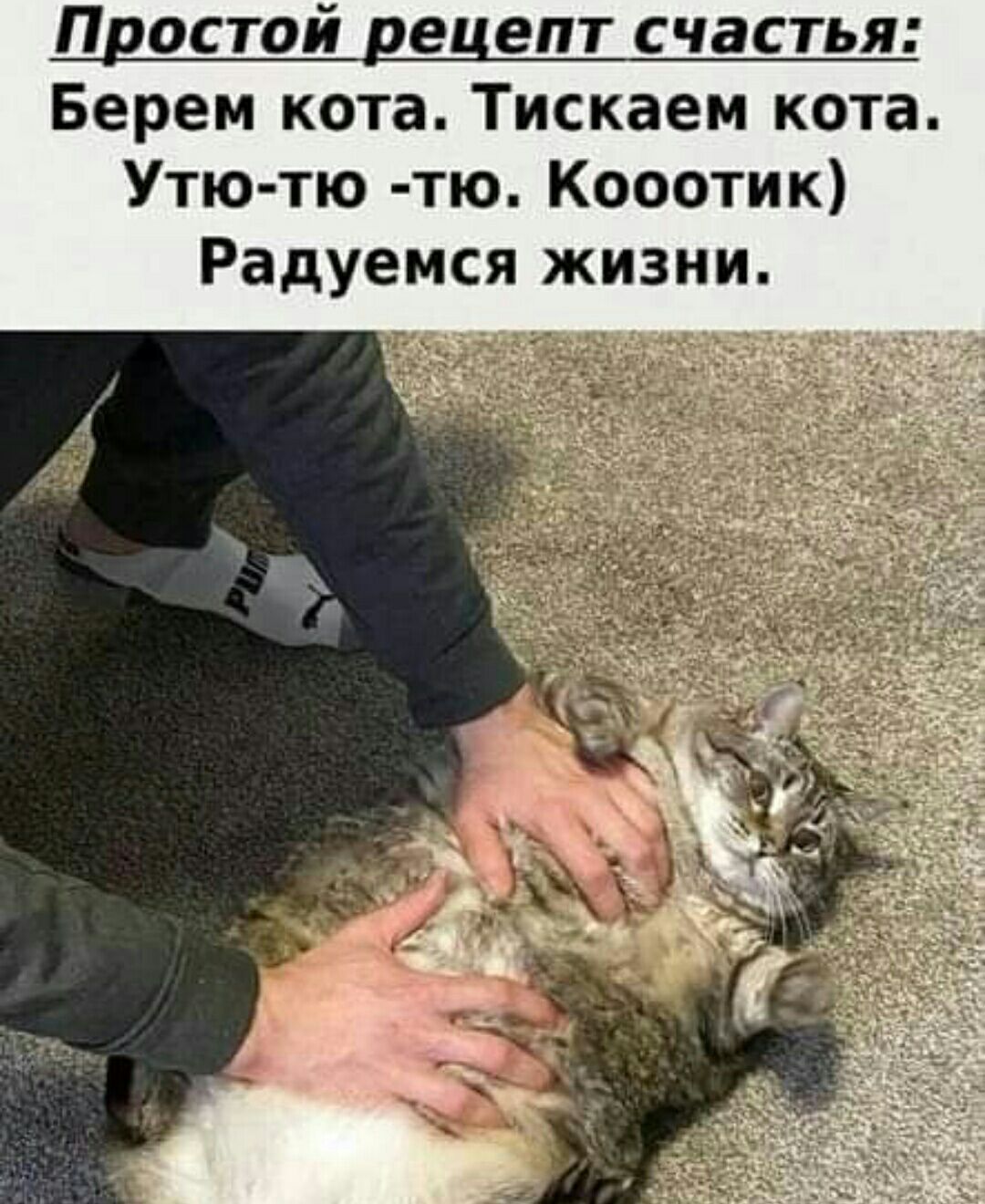 Простой рецепт счасть Берем кота Тискаем кота Утю тю тю Кооотик Радуемся жизни
