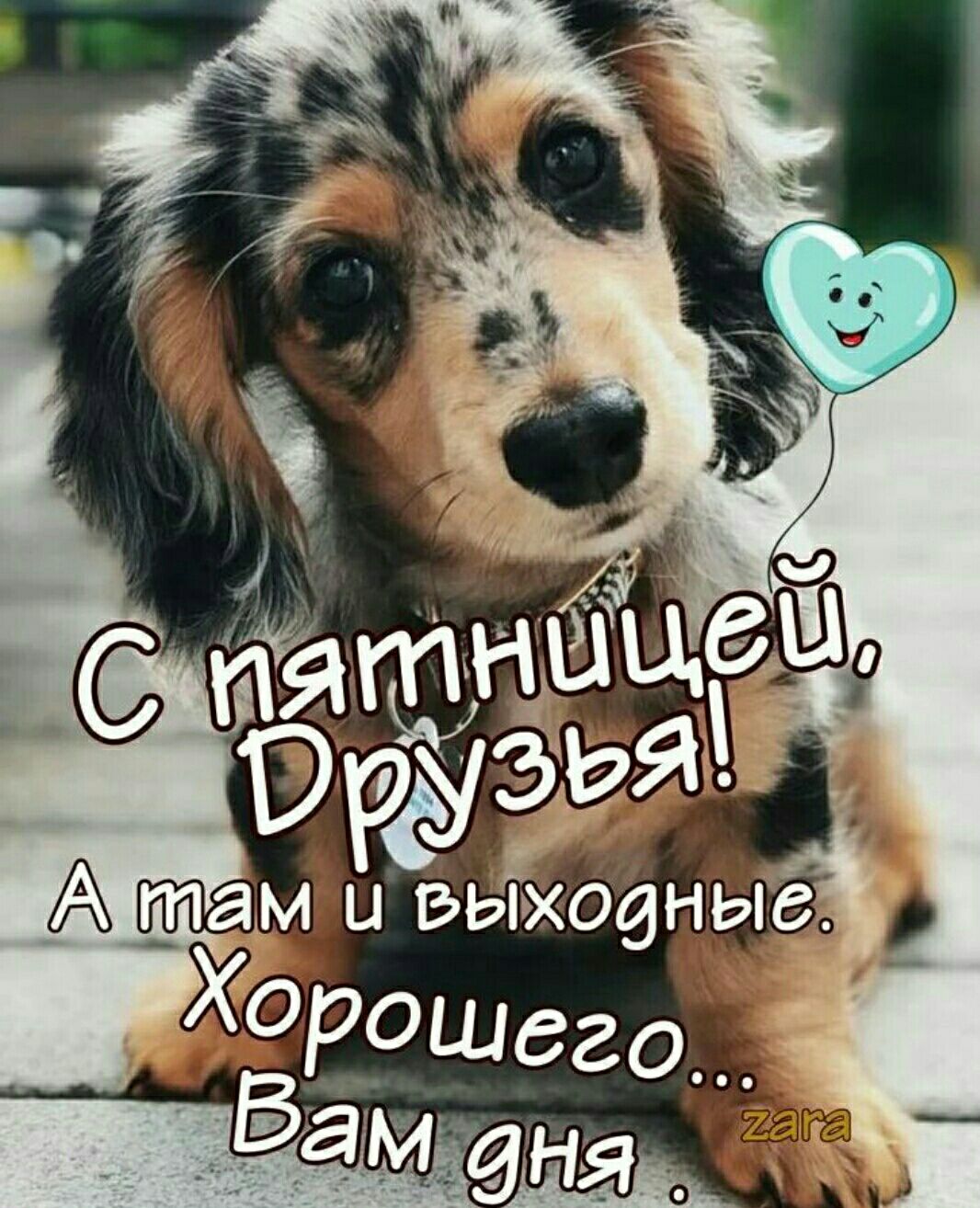 там 11 БЫКОбНЫд ХРШ820