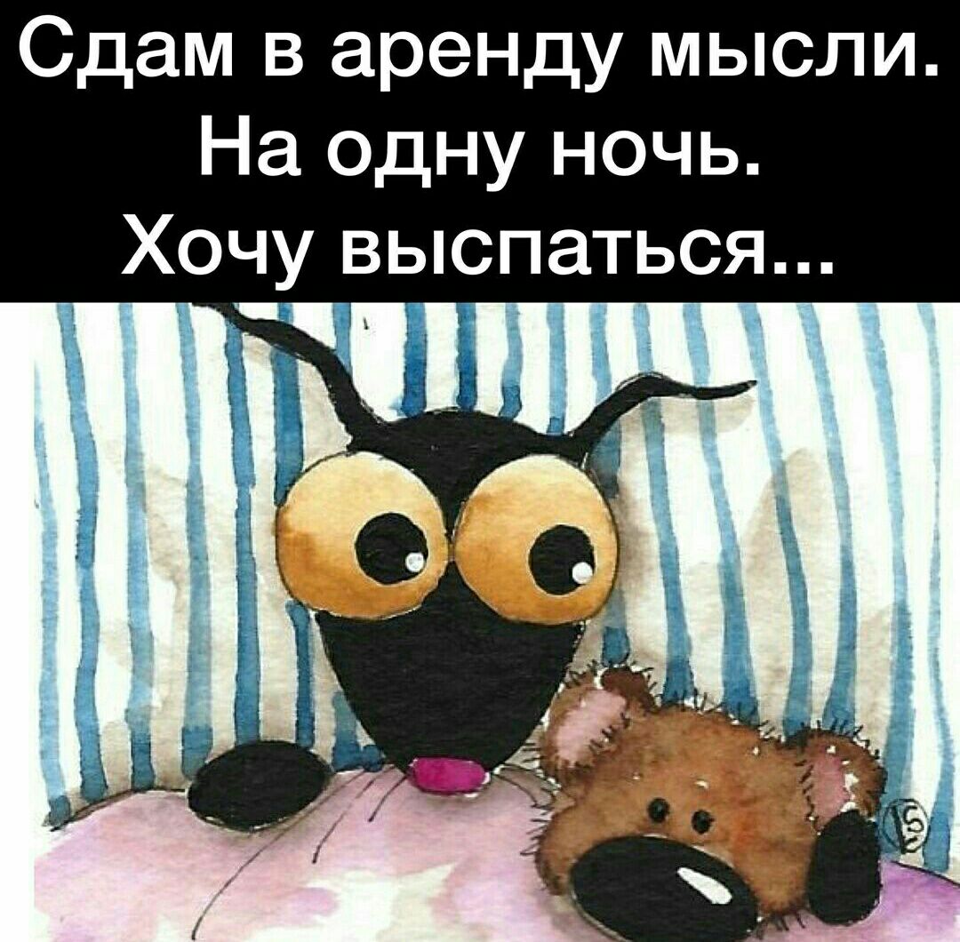 Сдам в аренду мысли На одну ночь Хочу выспаться